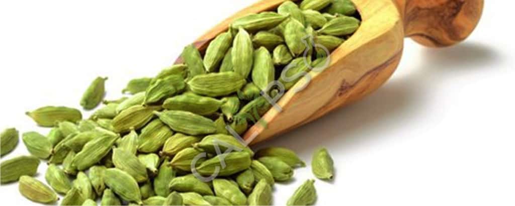 Cardamom puro aceite extra absoluto